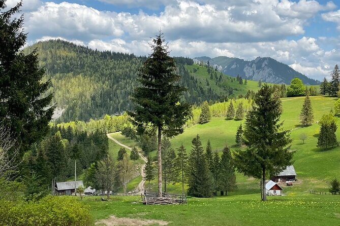 Adventure day trip from Iasi | Hiking in the Carpathian Mountains - Authentic Insights from Travelers