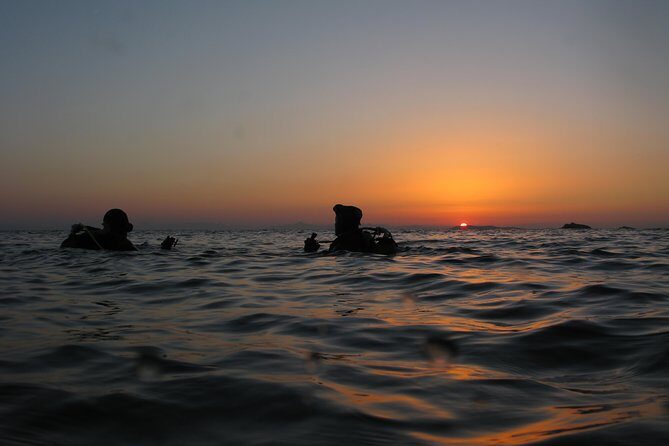 Adventure Dives for certified divers in Nea Makri, Athens - Exploring Underwater Greece: Certified Diving Tours in Nea Makri, Athens