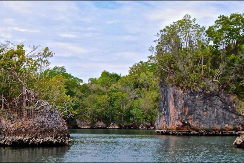 Adventure from Miches: Los Haitises, Caño Hondo, and Yanigua - Practical Details and Considerations