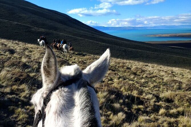 Adventure Horseback Riding on Cerro Frias - What Travelers Can Expect