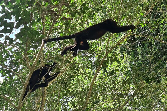 Adventure in Calakmul departing from Campeche - Who Should Book This Tour?