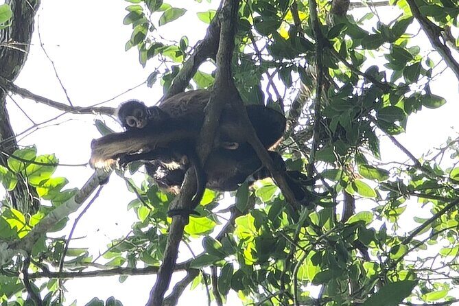 Adventure in Calakmul departing from Campeche - Final Thoughts