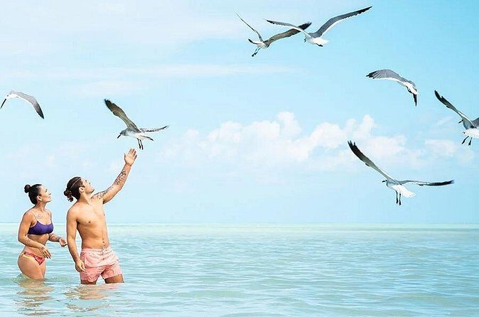 Adventure in Holbox - Who Should Consider This Tour?