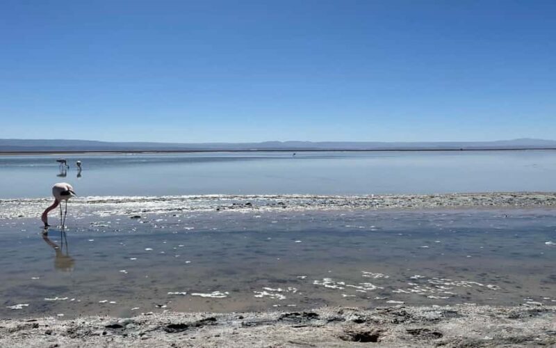 Adventure in Piedras Rojas: From Plains to Mountains - Final thoughts