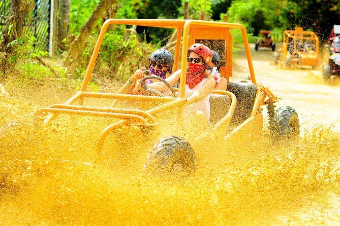 Adventure in Punta Cana Buggy or ATV Dunes & Unforgettable Safari - Key Points