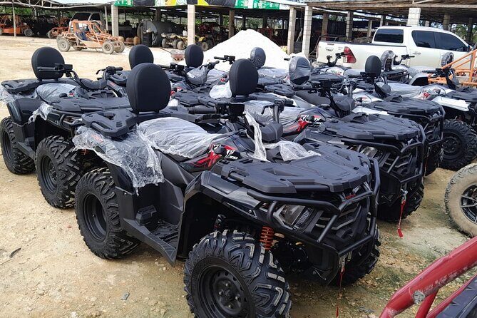 Adventure in Punta Cana Buggy or ATV Dunes & Unforgettable Safari - Final Thoughts