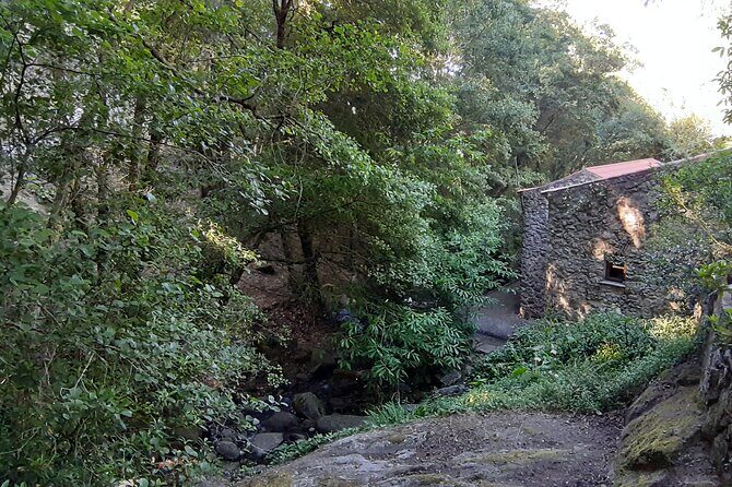 Adventure in Serra de Monchique - 4 Hours - Authentic Experiences and Local Flavor
