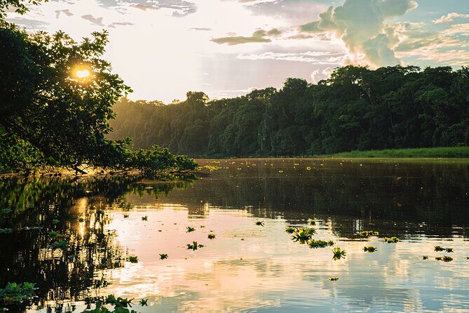 Adventure in the Amazon Jungle 5D/4N at Amazon Mamori lodge - Key Points