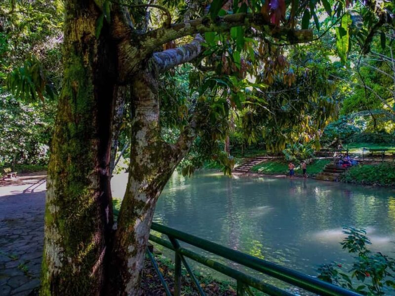 Adventure in the Dark - Owls' Cave& Santa Carmen Expedition - Who is This Tour For?