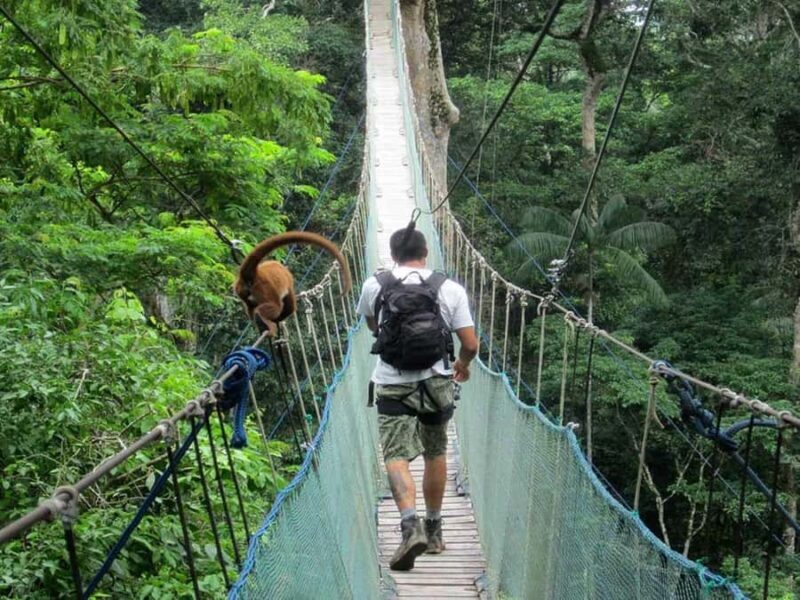 Adventure in the Jungle | Zipline, Canopy, Kayak| - Key Points