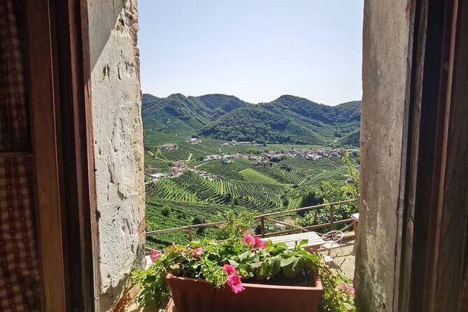 Adventure in the Prosecco Hills by Yellowboot - Exploring the Veneto Countryside: From Venice to the Prosecco Hills