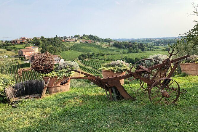 Adventure in the Prosecco Hills by Yellowboot - FAQ: Your Questions About the Prosecco Hills Tour