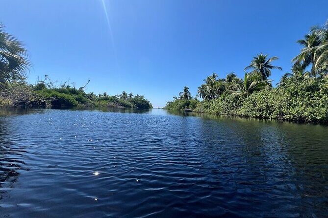 Adventure on the Emerald Coast Ventanilla, Mazunte, Puerto Ángel - Who Should Consider This Tour?