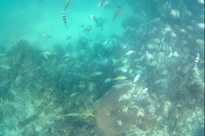 ADVENTURE PACKAGE: Buggy OffRoad Experience & Catamaran Cruise with Snorkeling - FAQs