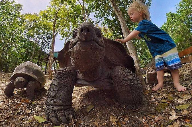 Adventure Power Boat Tour Antigua and Private Laviscount Island - Who Is This Tour Best For?