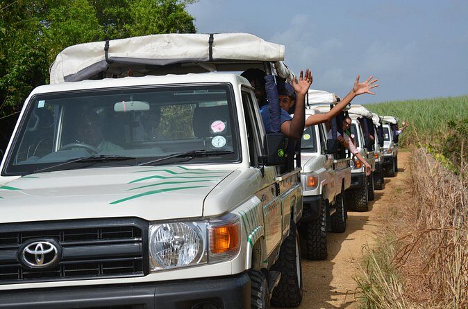 Adventure Safari - The Sum Up