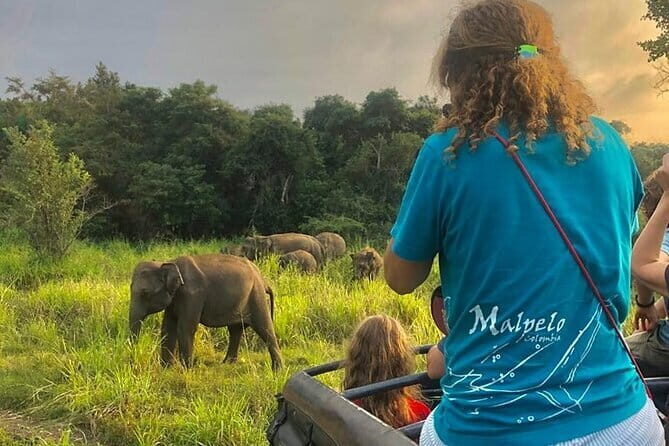 Adventure safari Experience in Hurulu Eco Park, Sri Lanka - Key Points