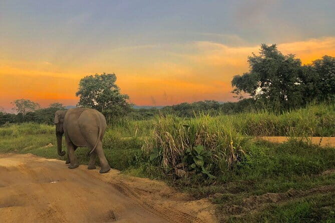 Adventure safari Experience in Hurulu Eco Park, Sri Lanka - In-Depth Review: What to Expect on Your Safari