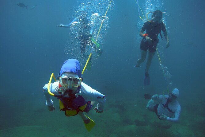 Adventure SNUBA in St. Maarten - Adventure SNUBA in St. Maarten: An Underwater Experience You Wont Forget
