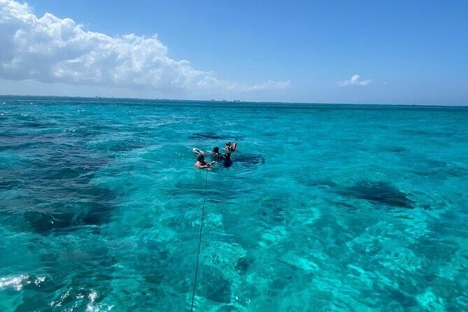 Adventure Stingray City, Snorkeling the Reef and Star Fish Point - The Sum Up