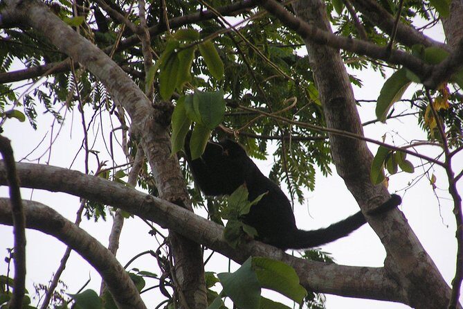 Adventure Sun Set Horse Ride - Key Points