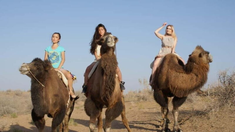 Adventure to Desert Kyzyl Kum and Yurt Camp - Who is This Tour Best For?