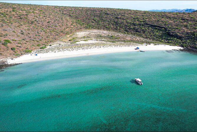 Adventure to Espiritu Santo Island: Snorkel with Sea Lions and Beach - FAQs