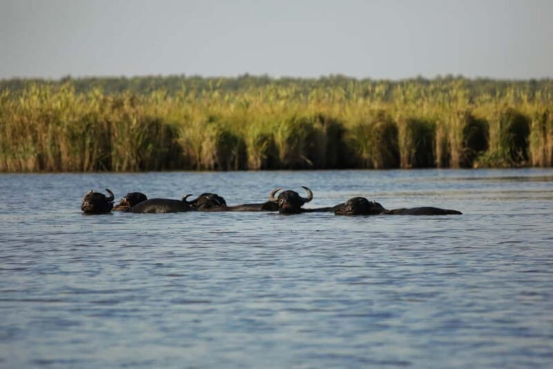 Adventure Tour In Georgia From Kutaisi - The Optional Boat Ride on Paliastomi Lake