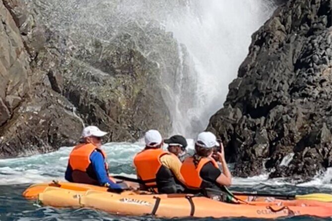 Adventure Tour in Kayak at La Bufadora with Lobster, Oyster Feast - FAQ