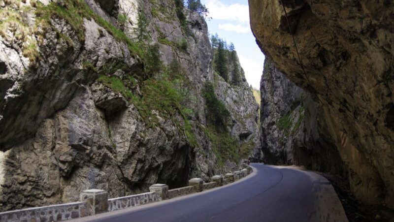 Adventure trip from Iasi: Hiking in the Carpathian Mountains - Who Would Love This Tour?