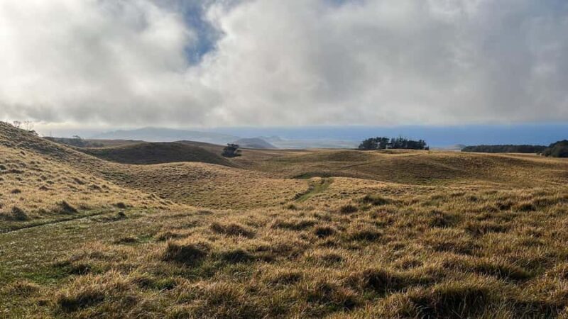 Adventures in Rapa Nui: High quality tourism with Easter Island Your Tour. - Key Points