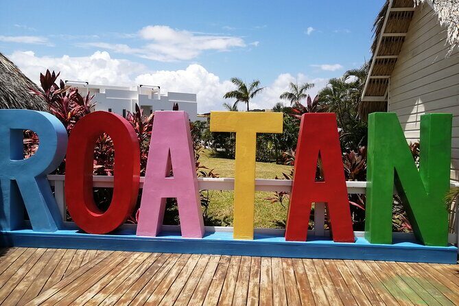 Adventures of Roatan ATV Pineapple beach break - Roatan’s ATV Pineapple Beach Break: An Authentic Adventure with Stunning Views