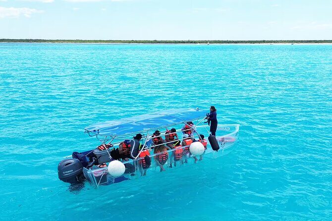 Adventures of the Lost Atlantis Bimini Road - Discover Bimini with the Adventures of the Lost Atlantis Bimini Road Tour