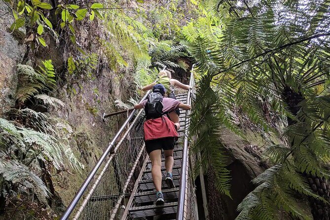 Adventurous Blue Mountains hike up the iconic Three Sisters - The Experience from a Traveler’s Perspective