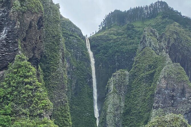 Adventurous Escape to Hakaui Valley - Adventurous Escape to Hakaui Valley: A Deep Dive into Nature and Culture