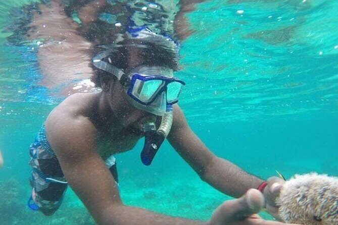 Adventurous-Snorkeling With Sightseeing of Montego Bay - Detailed Review of the Montego Bay Snorkeling & Sightseeing Tour