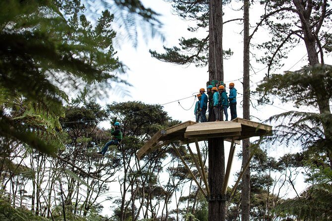 Adventurous Zipline Tour in Coromandel - Detailed Itinerary and Experience Breakdown