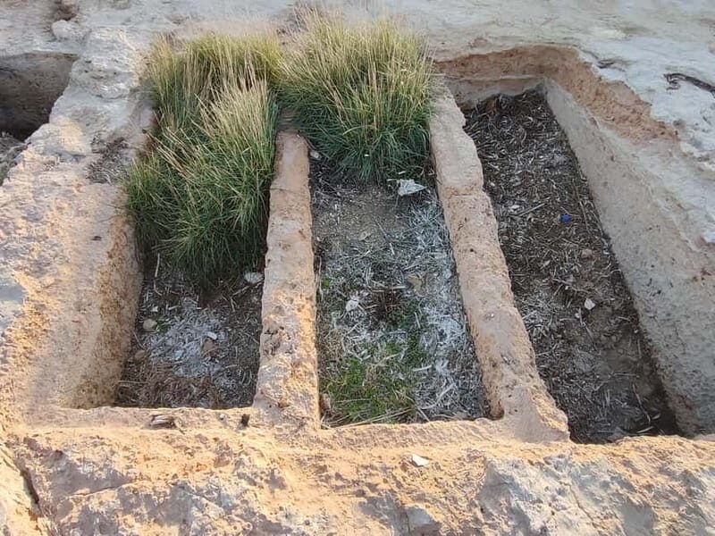Aegina: Ancient Cemetery, Kapralos, Bouzas Lighthouse Tour - Who Will Love This Tour?