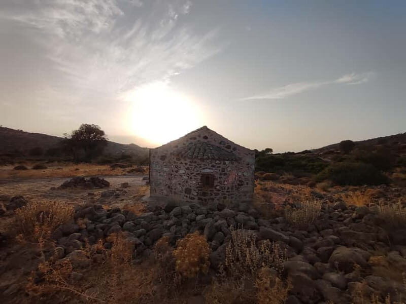 Aegina: Ancient Olive Grove (Eleonas) & Perdika Village Tour - Key Points