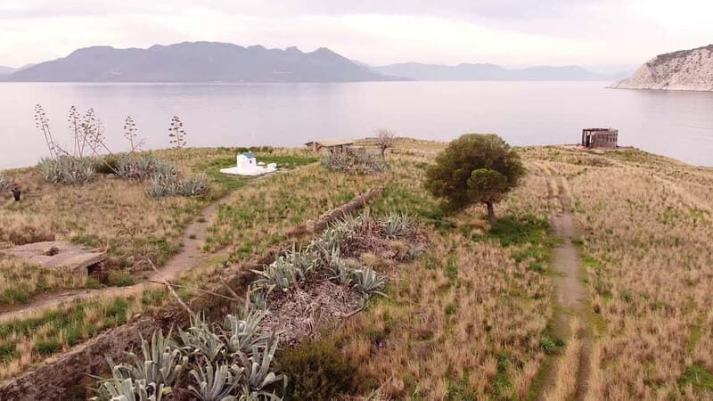 Aegina: Ancient Olive Grove (Eleonas) & Perdika Village Tour - Final Thoughts