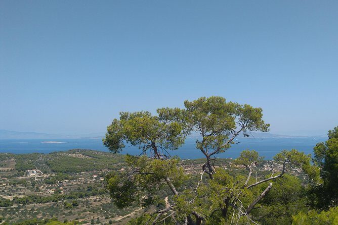 Aegina Island St Nektarios & Temple of Athina Aphaia Private Tour - A Complete Look at the Aegina Island Private Tour