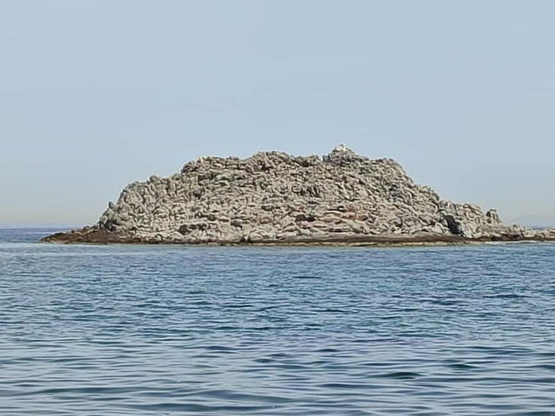 Aegina: Secret Beaches Alternative Tour - Practical Details and Value