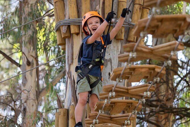 Aerial Fun & Ziplining for Our Littlest Adventurers in Salisbury - A Closer Look at the Salisbury TreeClimb Experience