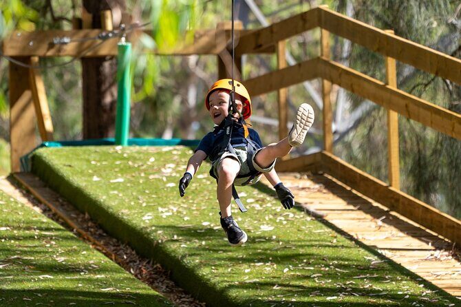Aerial Fun & Ziplining for Our Littlest Adventurers in Salisbury - Who Should Consider This Tour?