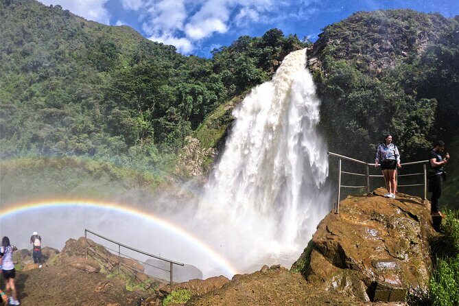 Aerial Hammocks, Zip and Waterfall Trek on Medellin Private Tour - Who Is This Tour Best For?