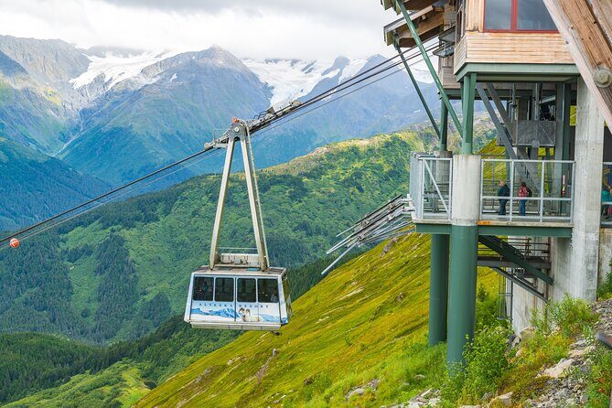 Aerial Tram and Wildlife Center tour from Anchorage - Key Points