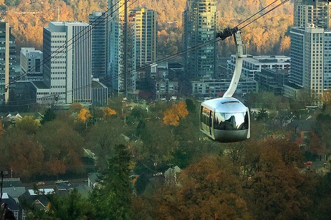 Aerial Tram Ride with Doughnuts at Sunrise in Portland Oregon - Key Points