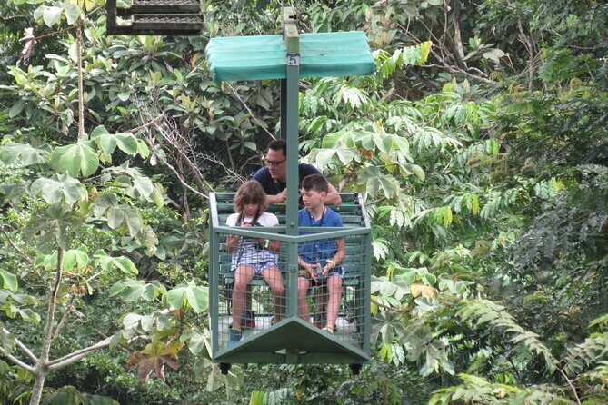 Aerial Tram & Sloth Sanctuary in the Rainforest - An Aerial Adventure and Sloth Sanctuary in Panama: A Balanced Look