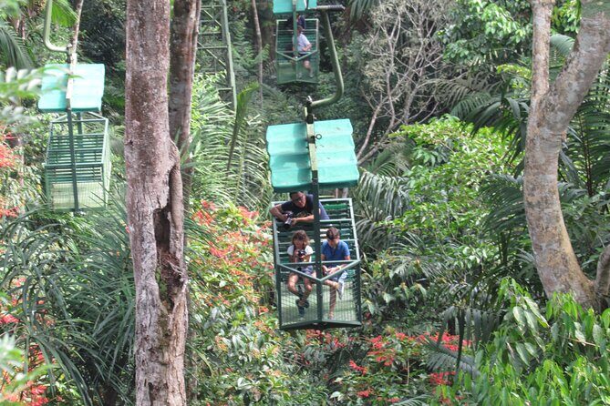 Aerial Tram & Sloth Sanctuary in the Rainforest - Exploring Panama’s Rainforest from Above and Beyond