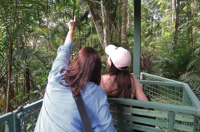 Aerial Tram & Sloth Sanctuary in the Rainforest - FAQs